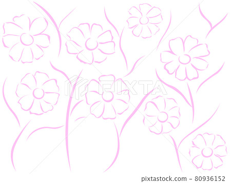 Illustration of cosmos (vector illustration of flowers) 80936152