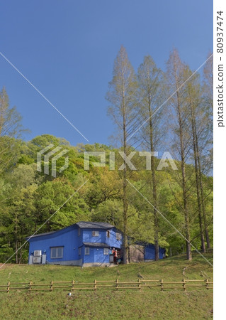 Clear spring, Akebono Children's Forest Park in Hanno City, blue sky, fresh green, and Cafe Puisto's Finnish Sea Blue are clear. Clear spring, Akebono Children's Forest Park in Hanno City, blue sky, fresh green, and Cafe Puisto's Finnish Sea Blue are clear. 80937474