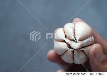 close up of hand hold a garlic against black background close up of hand hold a garlic against black background 80937802