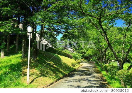 岩手縣北上市,一座清新的綠色民居 岩手縣北上市,一座清新的綠色民居 80938013
