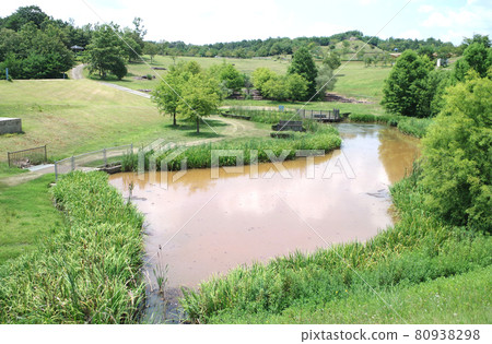 Scenery of the amusement park of Sera Yume Park 80938298