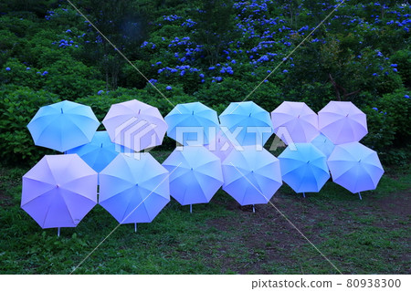 五顏六色的傘 80938300