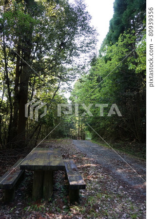 皇居遺址周圍的風景、通往石碑八戶寺故鄉村的道路和長椅 80939356