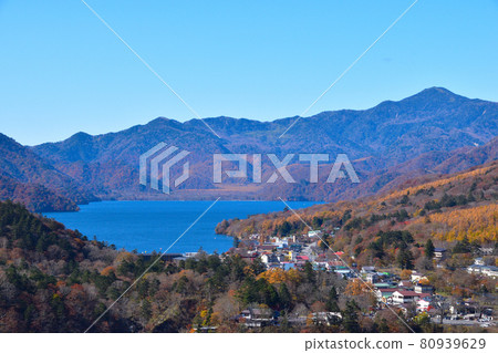 秋湖中禪寺湖畔 80939629