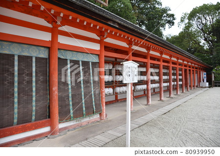 Midsummer Kyoto Shimogamo Shrine Midsummer Kyoto Shimogamo Shrine 80939950