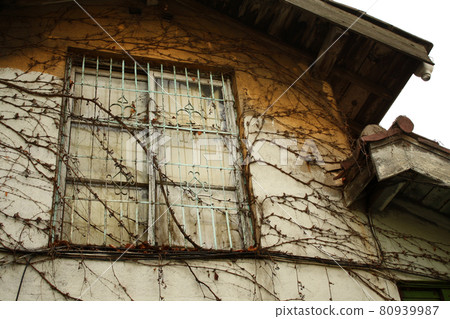 window window 80939987