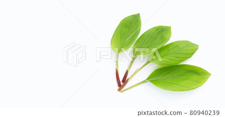 Finger root leaves on white background. Finger root leaves on white background. 80940239