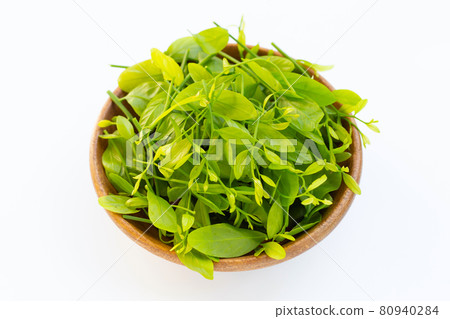 Melientha suavis pierre leaves in wooden bowl on white background. Melientha suavis pierre leaves in wooden bowl on white background. 80940284