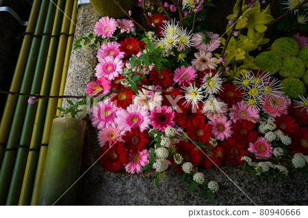 京都市京京區北野天滿宮聖堂花水的照片 80940666
