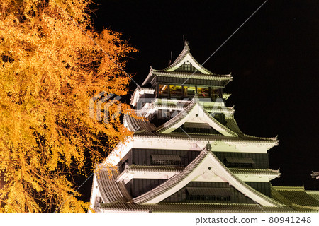 秋季熊本城特別夜開幕 秋季熊本城特別夜開幕 80941248