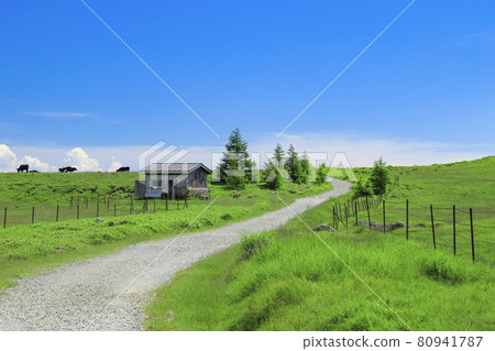 Utsukushigahara plateau mountain road 80941787