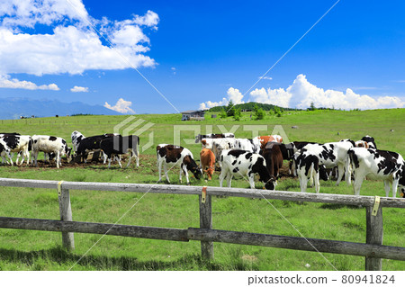 Utsukushigahara plateau beef 80941824