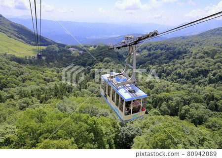 Tsugaike Natural Garden, Watasuge in full bloom 80942089