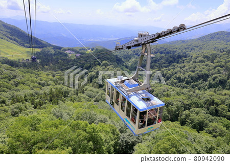 Tsugaike Natural Garden, Watasuge in full bloom 80942090