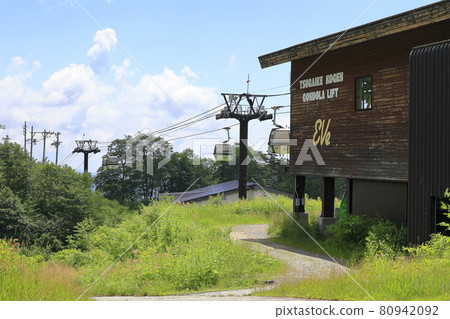 Tsugaike Natural Garden, Watasuge in full bloom Tsugaike Natural Garden, Watasuge in full bloom 80942092