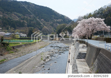 View from Kai-Tokiwa Station in Yamanashi Prefecture 80942889