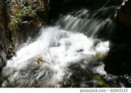 Violent water flow in Japanese garden and swan garden Violent water flow in Japanese garden and swan garden 80943125