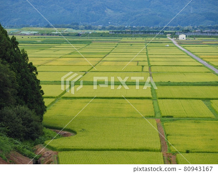 夏日田園風光【新潟縣村上市】 夏日田園風光【新潟縣村上市】 80943167