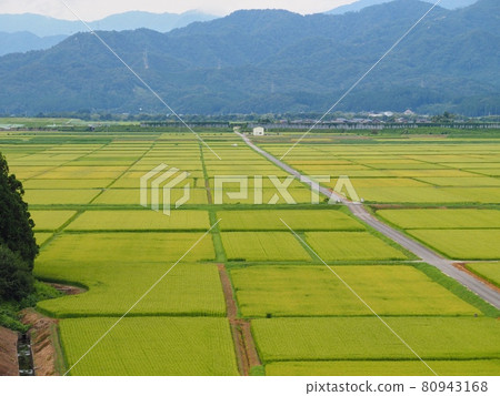 夏日田園風光【新潟縣村上市】 夏日田園風光【新潟縣村上市】 80943168