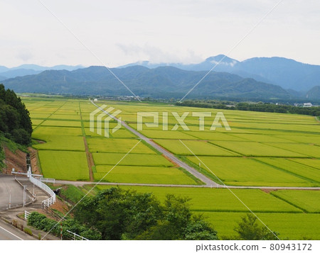 Summer rural scenery [Murakami City, Niigata Prefecture] 80943172