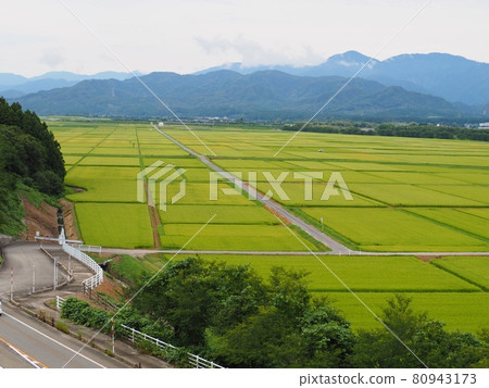 Summer rural scenery [Murakami City, Niigata Prefecture] 80943173