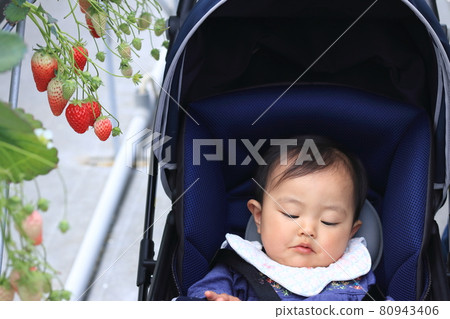 嬰兒推車體驗草莓採摘 80943406