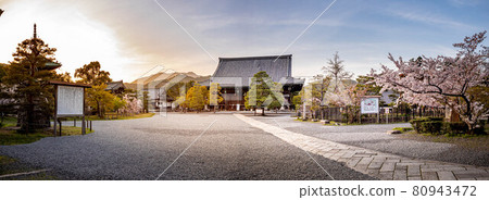 清涼寺春天，通往正殿釋迦堂的鵝卵石通道上盛開的櫻花 80943472