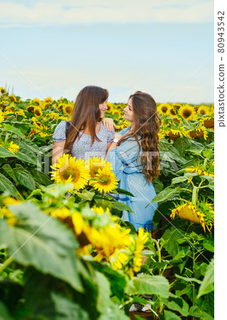 Two women lean on each other on sunflower field Two women lean on each other on sunflower field 80943542