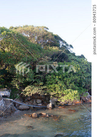 the Hebe Haven at sai kung , hk 11 Dec 2005 80943715