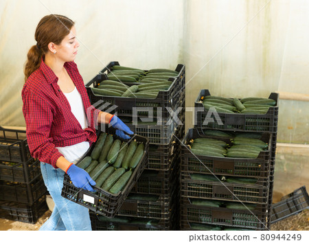 Woman with boxes of cucumbers 80944249