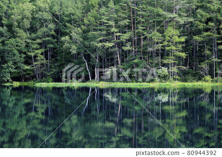 Shrine pond 80944392