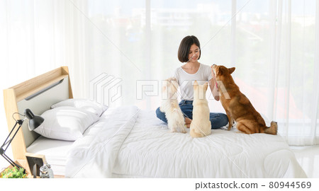 Young Asian woman relaxing and playing with three dogs (brown shiba inu, white shiba puppy and white maltese)in bedroom at home, Cheerful and nice couple with people and pet. Pet Lover concept 80944569