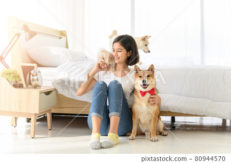 Young Asian woman relaxing and playing with three dogs (brown shiba inu, white shiba puppy and white maltese)in bedroom at home, Cheerful and nice couple with people and pet. Pet Lover concept 80944570