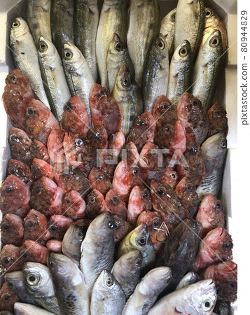Fresh fish in box. Fish ready for sale in market Fresh fish in box. Fish ready for sale in market 80944829