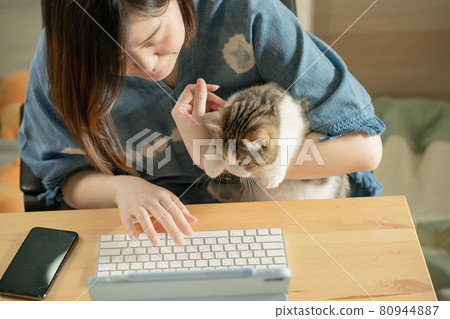 asian woman play with her cat and use tablet meeting and working from home asian woman play with her cat and use tablet meeting and working from home 80944887