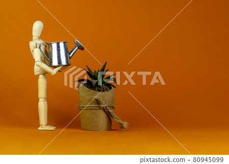 Business growth success process symbol. Wooden manequin, house plant from, miniature watering can. Beautiful orange background. Business and growth success process concept, copy space. Business growth success process symbol. Wooden manequin, house plant from, miniature watering can. Beautiful orange background. Business and growth success process concept, copy space. 80945099