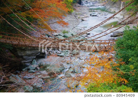 在德島縣三好市的Iya,Kazura Bridge 在德島縣三好市的Iya,Kazura Bridge 80945409