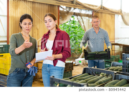 Two female managers are counting number of boxes of cucumbers, male worker carrying crates with cucumber Two female managers are counting number of boxes of cucumbers, male worker carrying crates with cucumber 80945442