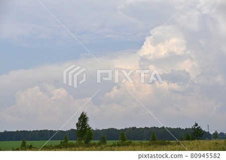 Thunderstorm landscape and cumulus clouds in the field Thunderstorm landscape and cumulus clouds in the field 80945582