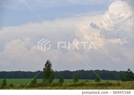 Thunderstorm landscape and cumulus clouds in the field Thunderstorm landscape and cumulus clouds in the field 80945586