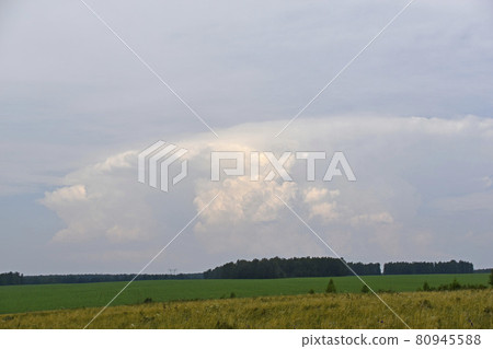 Thunderstorm landscape and cumulus clouds in the field Thunderstorm landscape and cumulus clouds in the field 80945588