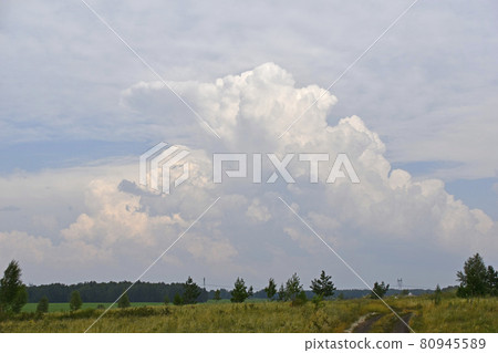 Thunderstorm landscape and cumulus clouds in the field Thunderstorm landscape and cumulus clouds in the field 80945589