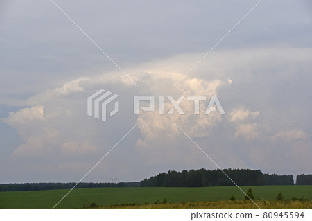 Thunderstorm landscape and cumulus clouds in the field Thunderstorm landscape and cumulus clouds in the field 80945594