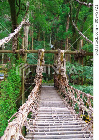 德島縣三好市勝浦橋 80945721