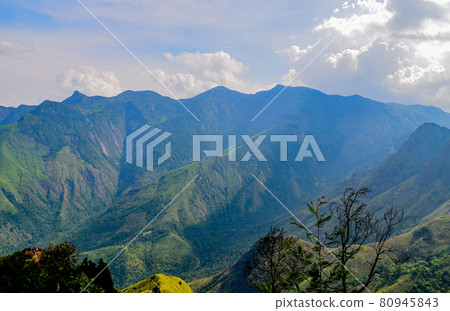 Misty mountains of Munnar, Kerala, India 80945843
