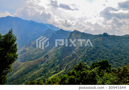 Misty mountains of Munnar, Kerala, India 80945844