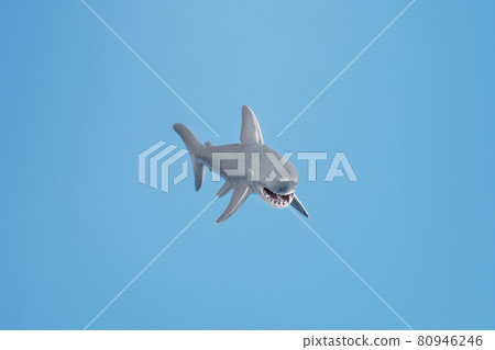 Toothy shark toy on a blue background with free space. Toothy shark toy on a blue background with free space. 80946246