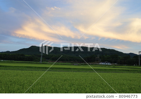 日落天空、稻田和山脈 80946773