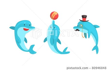 Blue Dolphin Character Playing Ball and Wearing Top Hat and Mustache Vector Set Blue Dolphin Character Playing Ball and Wearing Top Hat and Mustache Vector Set 80946848