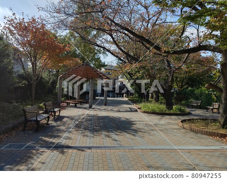 公園周邊公園 橫濱市都筑區隅丘公園 棒球場 兒童遊樂園 步行廣場 公園周邊公園 橫濱市都筑區隅丘公園 棒球場 兒童遊樂園 步行廣場 80947255
